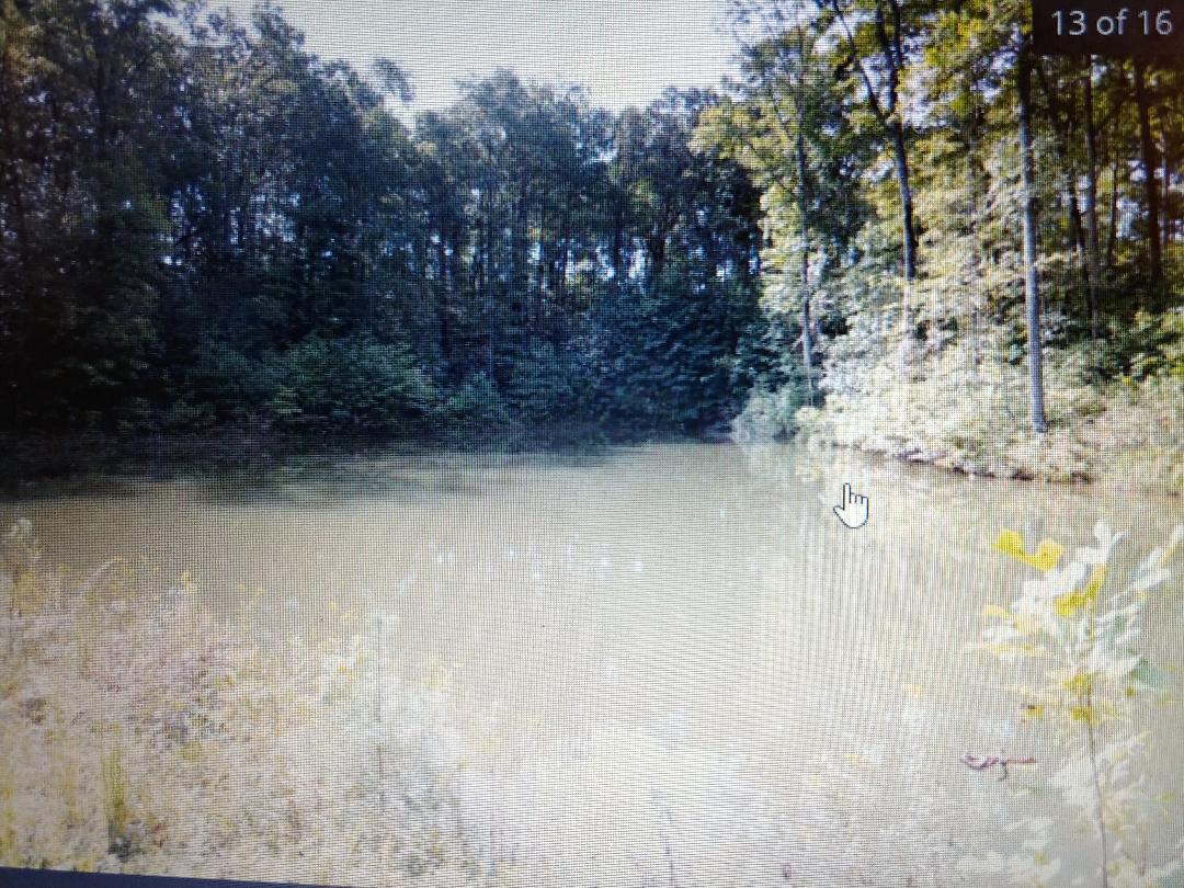 197 Brewstertown Road Sunbright, TN 37872 - Photo 3 of 22 61