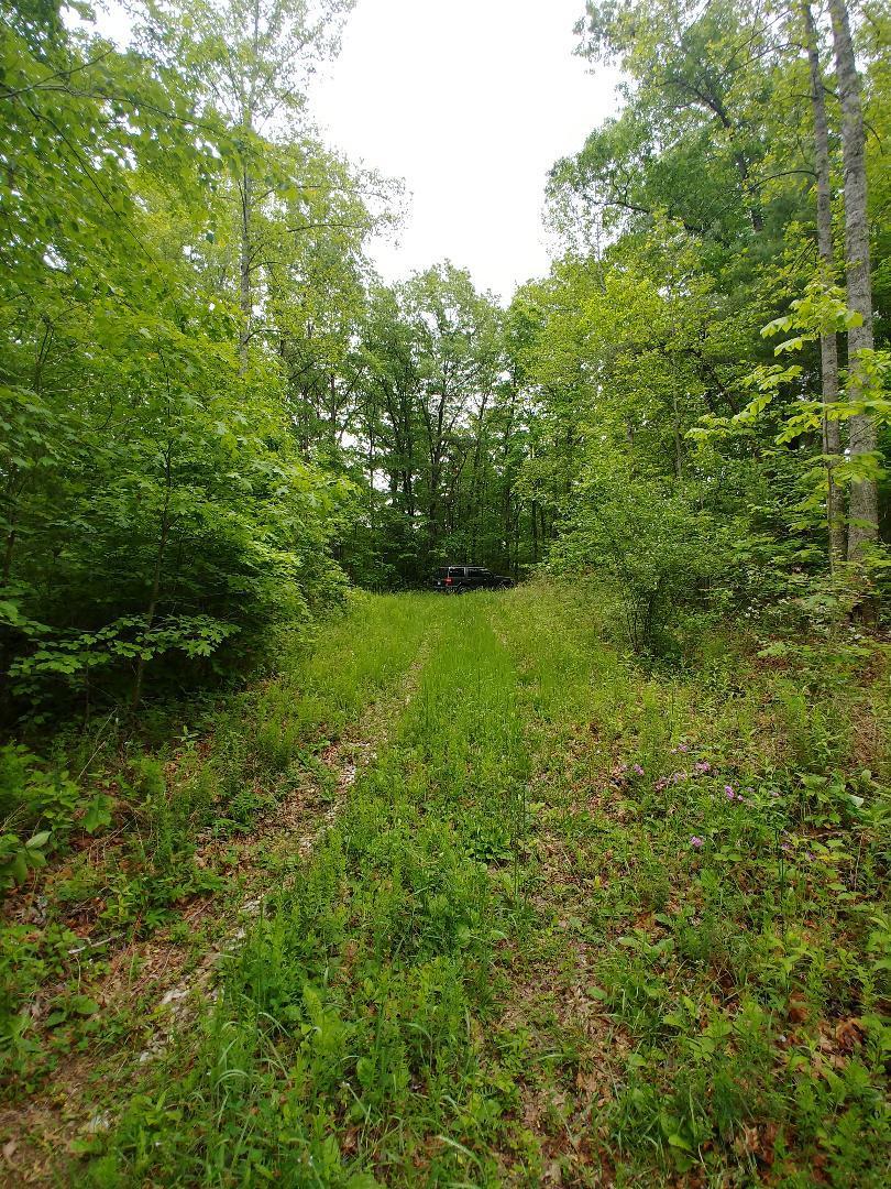 197 Brewstertown Road Sunbright, TN 37872 - Photo 4 of 22 15