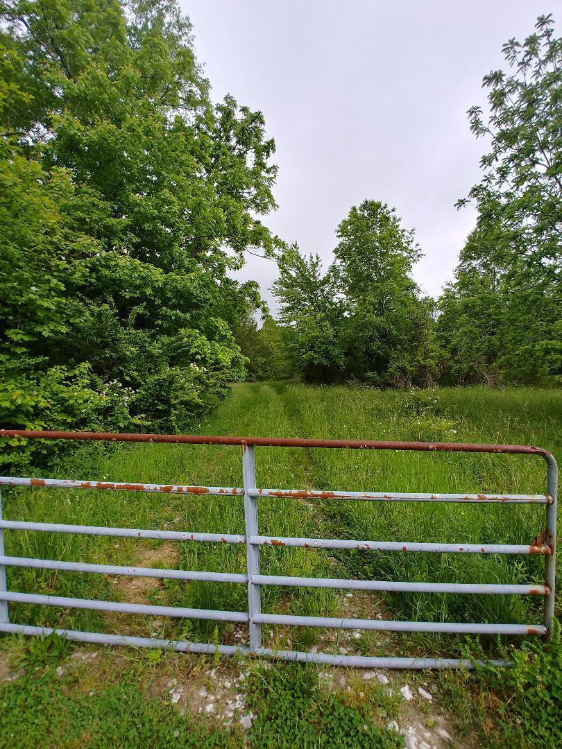 197 Brewstertown Road Sunbright, TN 37872 - Photo 5 of 22 1