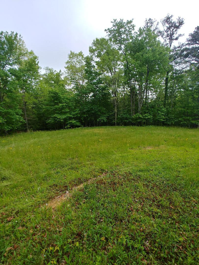 197 Brewstertown Road Sunbright, TN 37872 - Photo 6 of 22 11