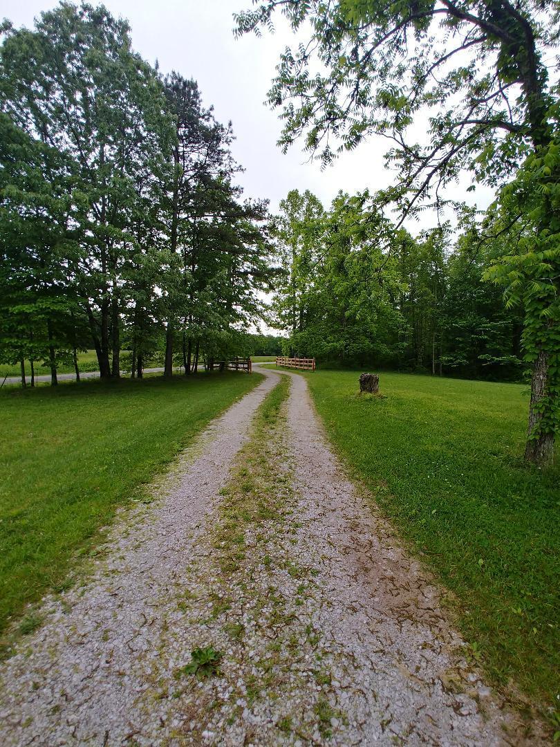 197 Brewstertown Road Sunbright, TN 37872 - Photo 7 of 22 14