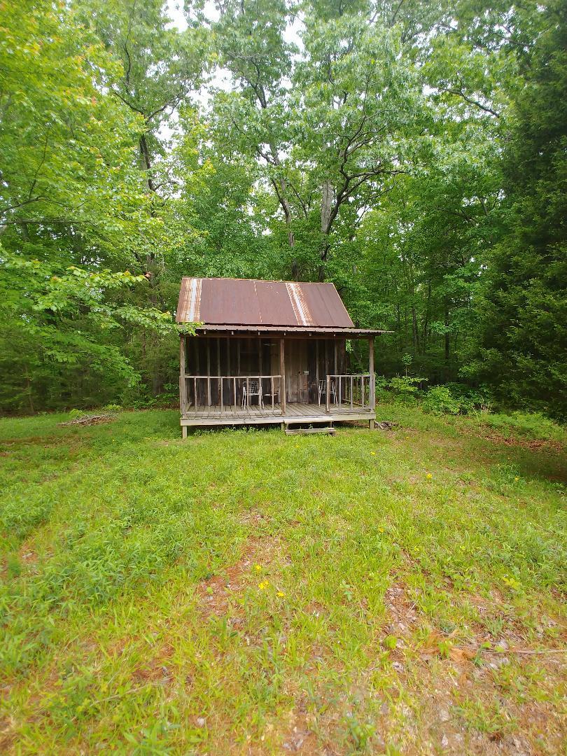197 Brewstertown Road Sunbright, TN 37872 - Photo 8 of 22 10