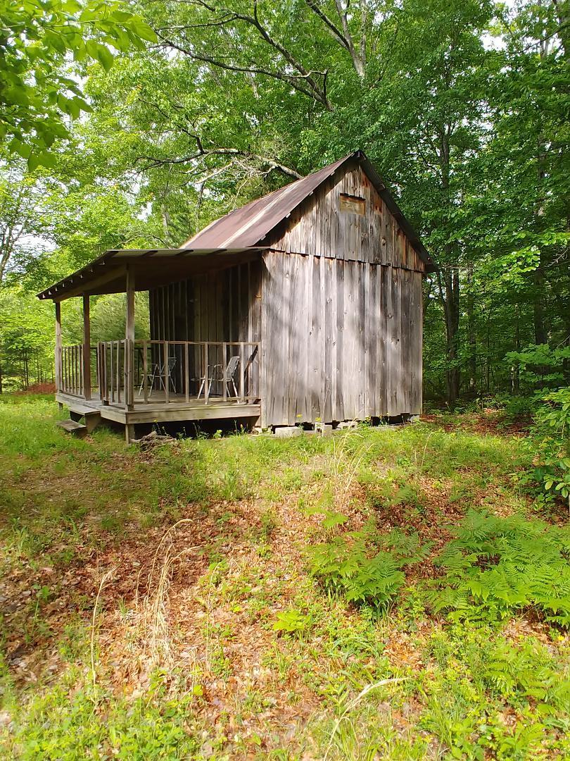197 Brewstertown Road Sunbright, TN 37872 - Photo 9 of 22 9