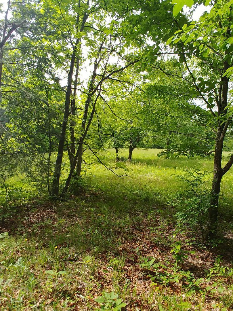 197 Brewstertown Road Sunbright, TN 37872 - Photo 10 of 22 8