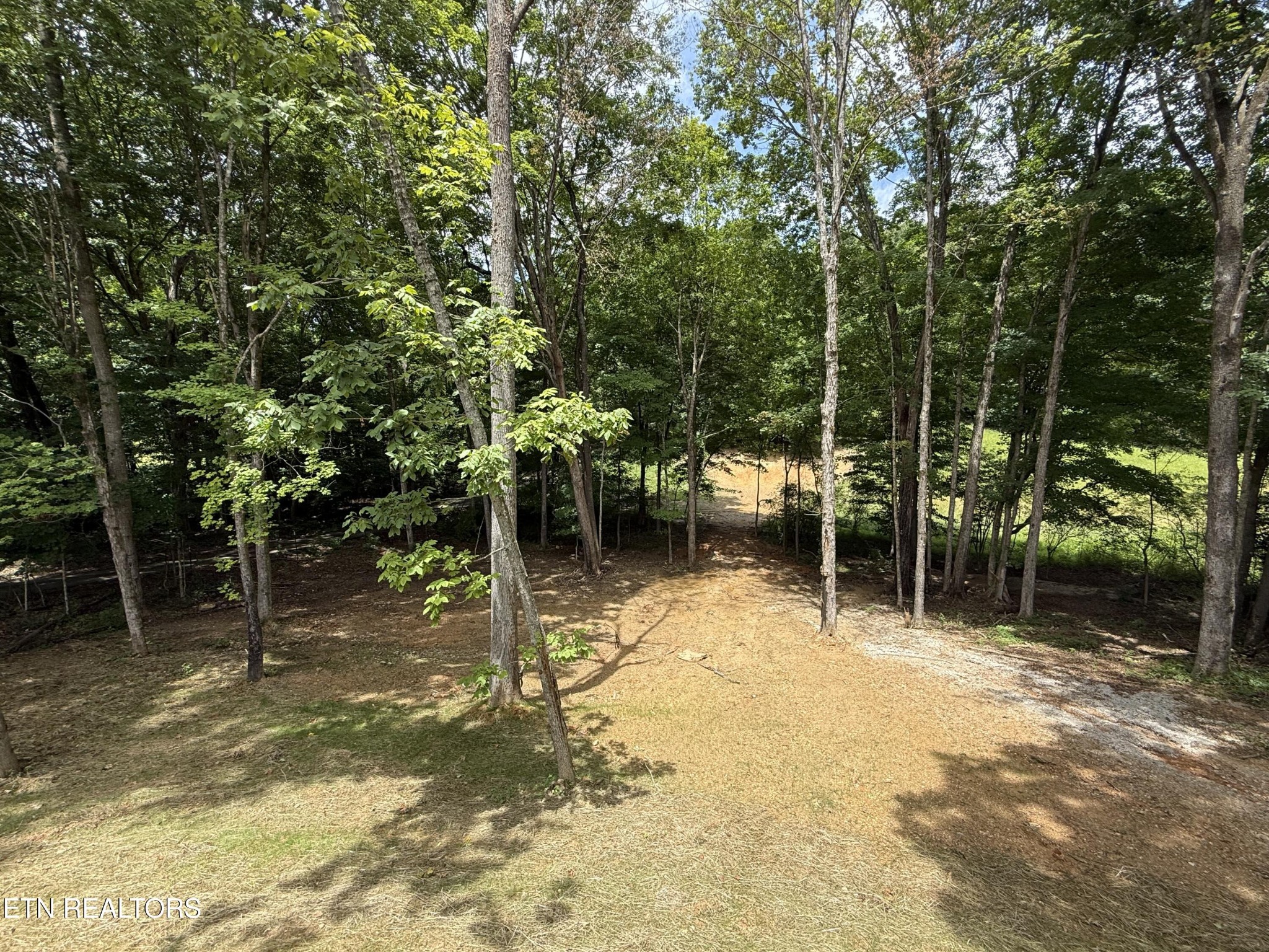 224 Pattie Gap Road Philadelphia, TN 37846 - Photo 20 of 44 Gallery Image 20