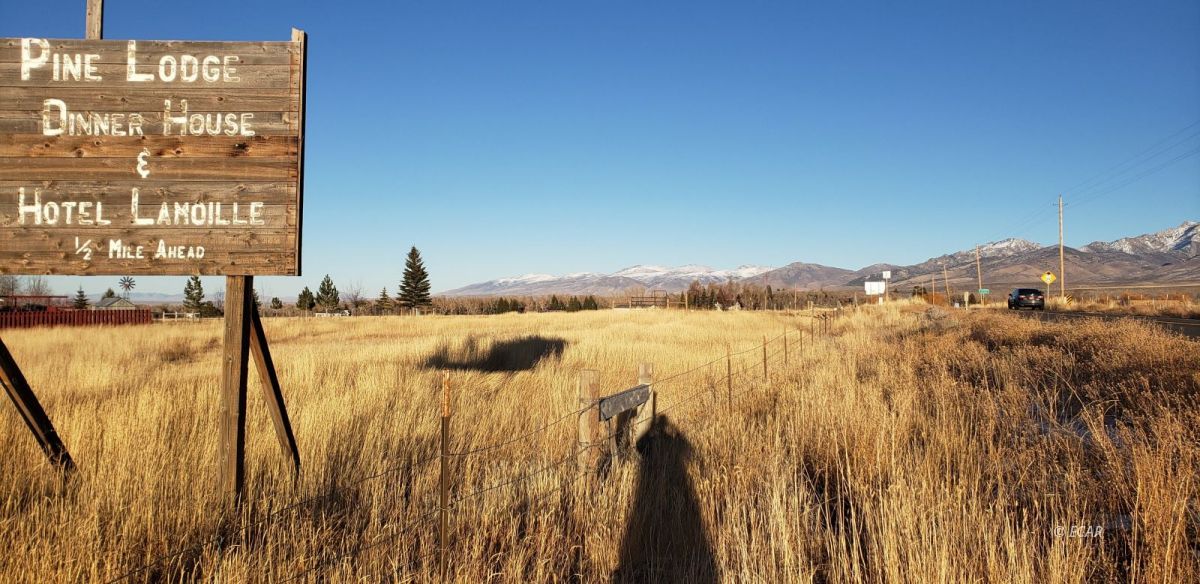 North Canyon Road Lamoille, NV 89828 - Photo 2 of 6