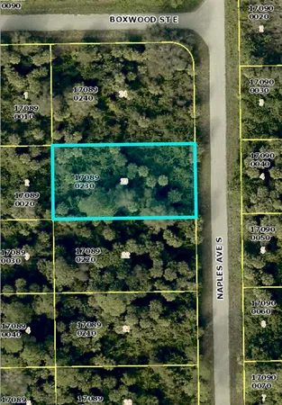 $15,900 | 636 Naples Avenue South, Lehigh Acres, FL 33974