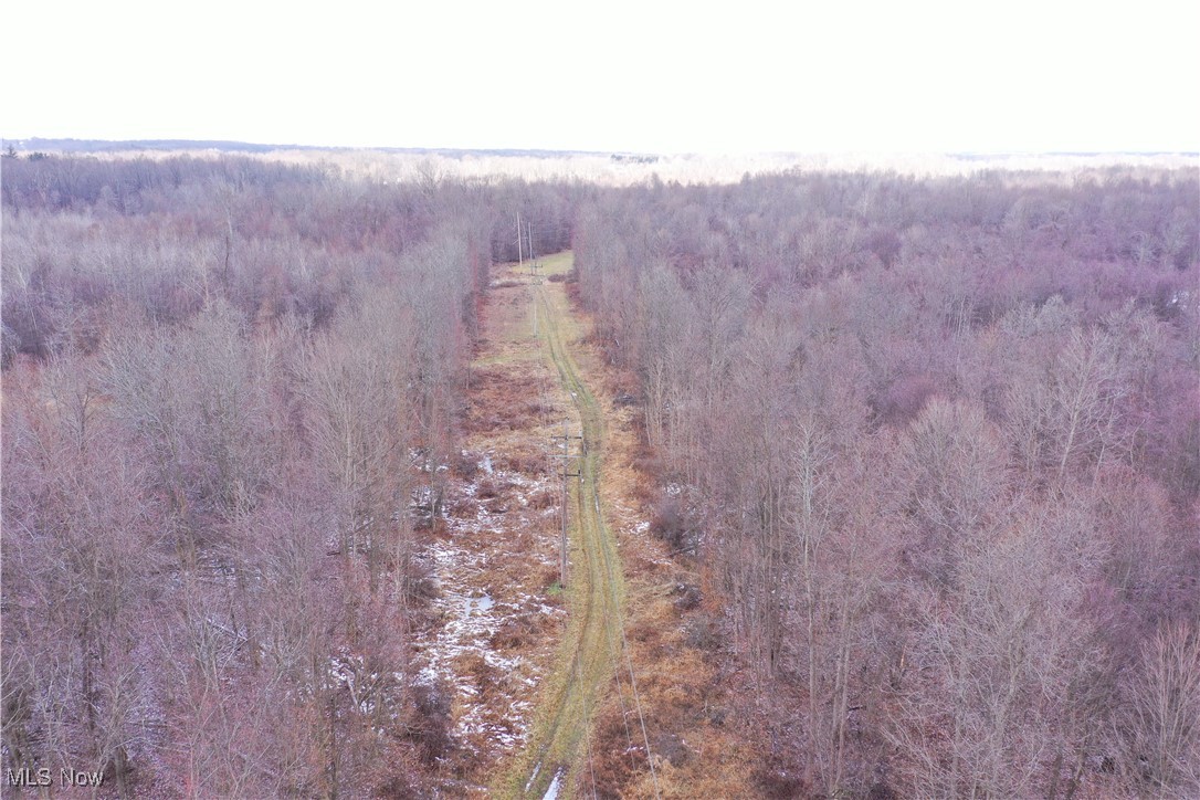 Braceville Robinson Rd Road Newton Falls, OH 44444 - Photo 45 of 50 Gallery Image 45