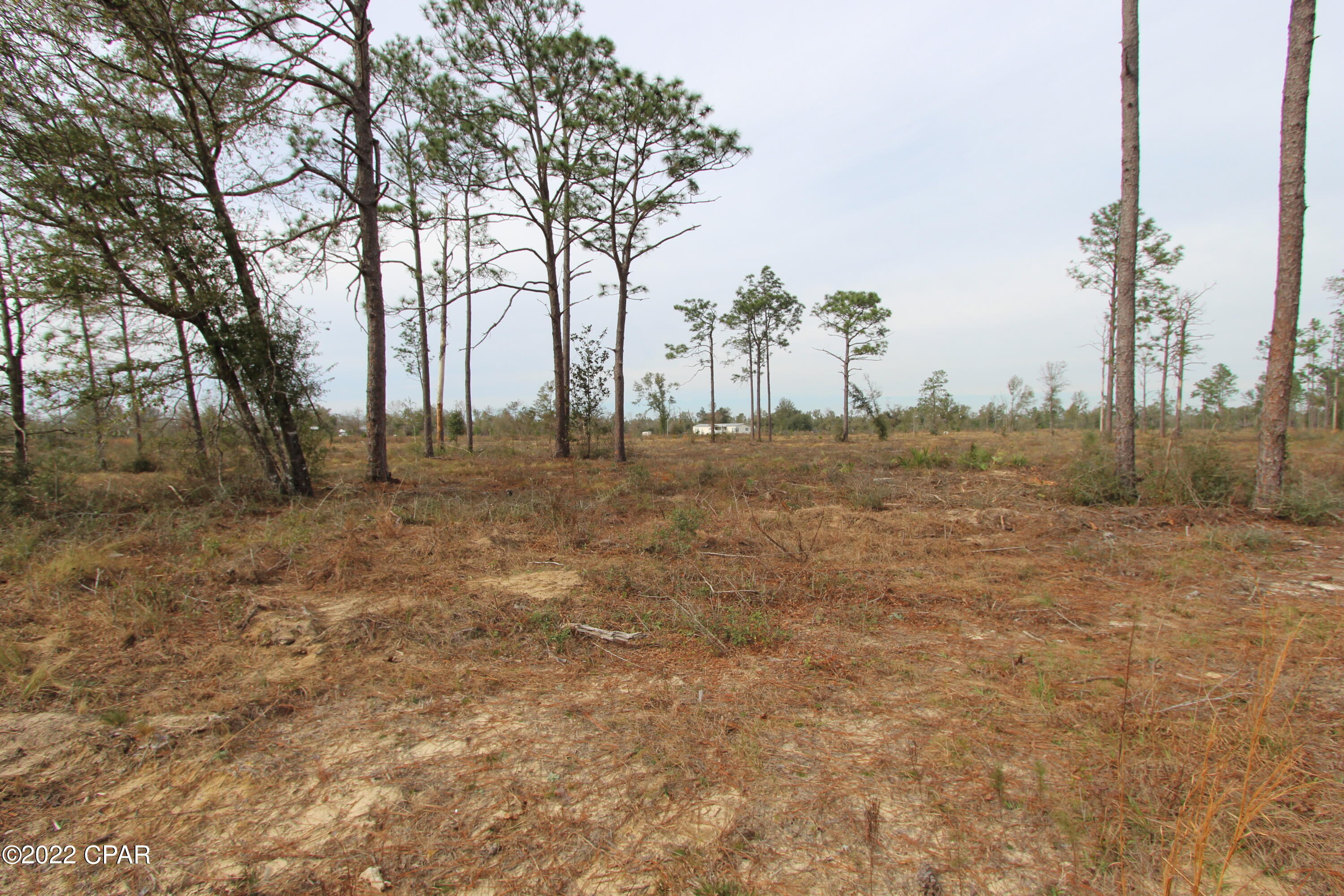 0 Rabbit Run Road Youngstown, FL 32466 - Photo 15 of 18 Gallery Image 15