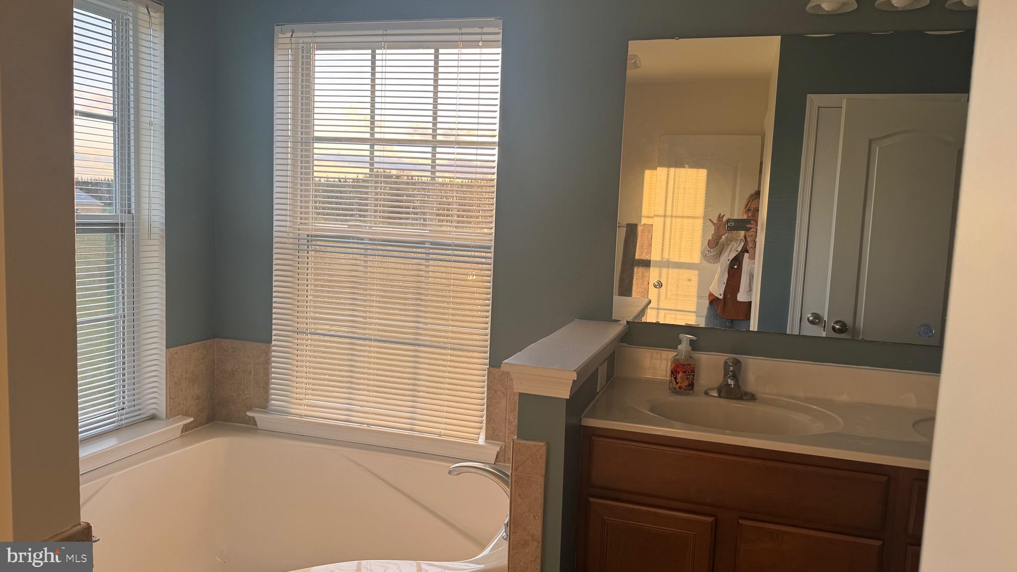 2295 Harney Road Littlestown, PA 17340 - Photo 25 of 37 a bathroom with a sink and a bathtub