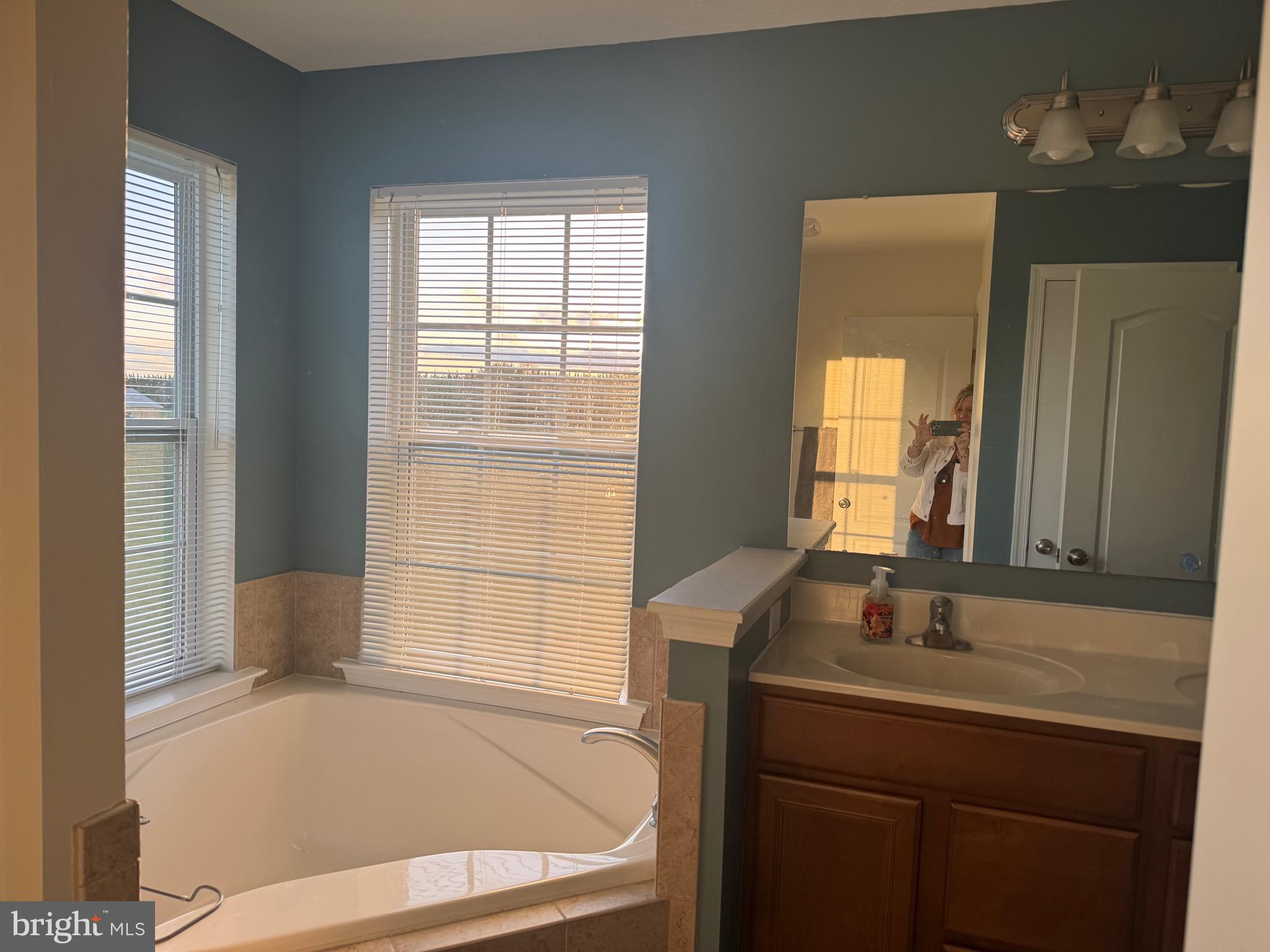 2295 Harney Road Littlestown, PA 17340 - Photo 26 of 37 a bathroom with a sink and a bathtub