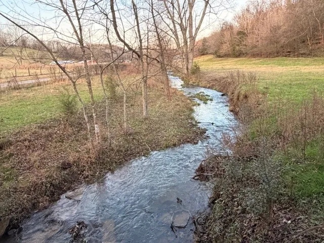 a view of a yard with an trees