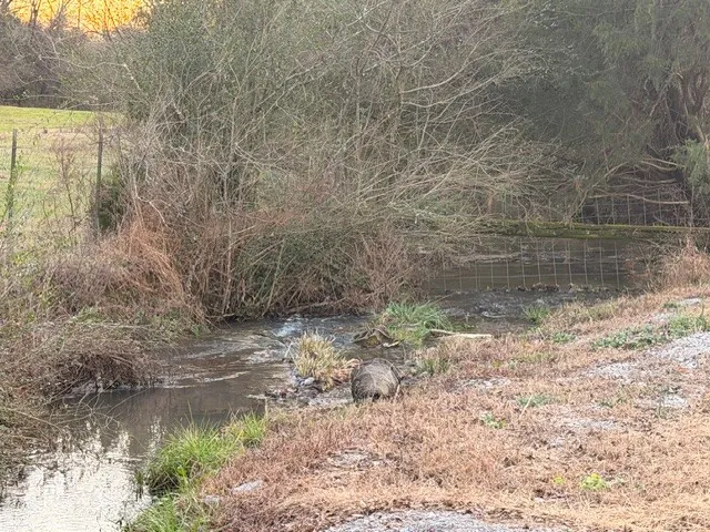 a backyard of a house