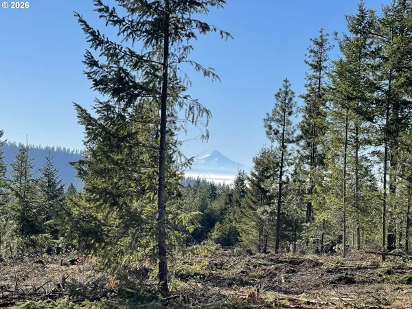 $315,000 | Cedar Valley Road, Goldendale, WA 98620