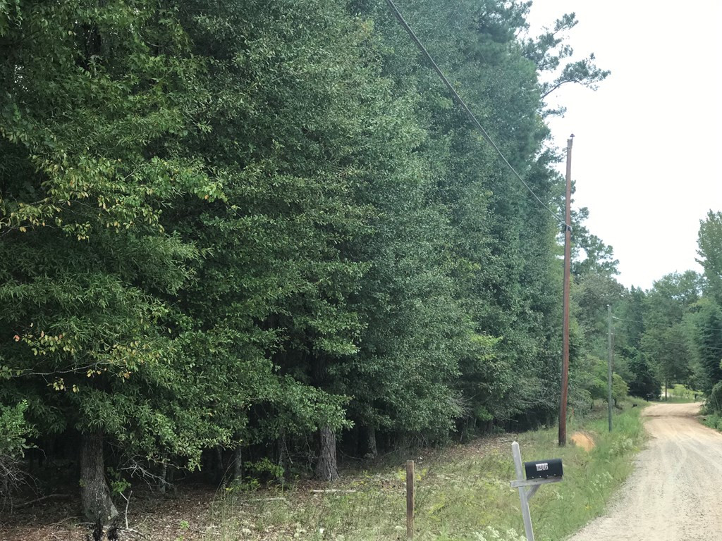 Tbd Lakeview Drive Grovetown, GA 30813 - Photo 2 of 6