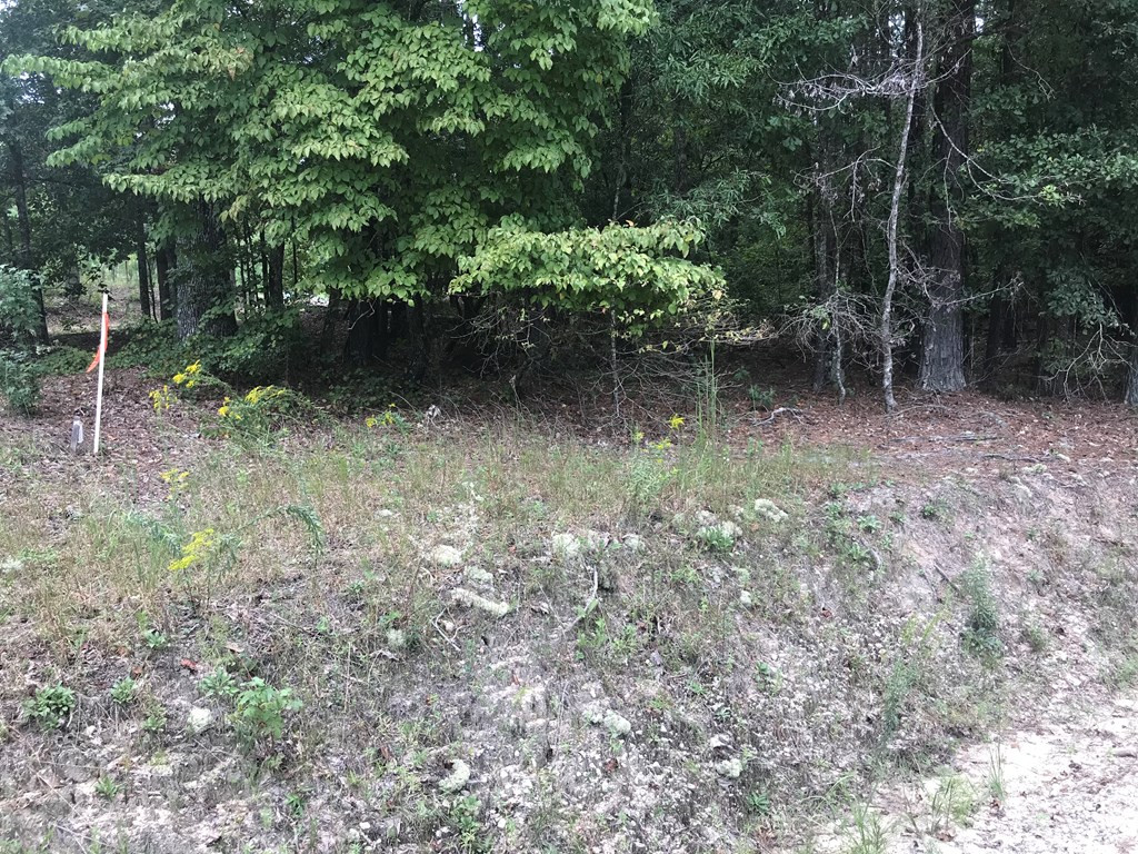 Tbd Lakeview Drive Grovetown, GA 30813 - Photo 5 of 6