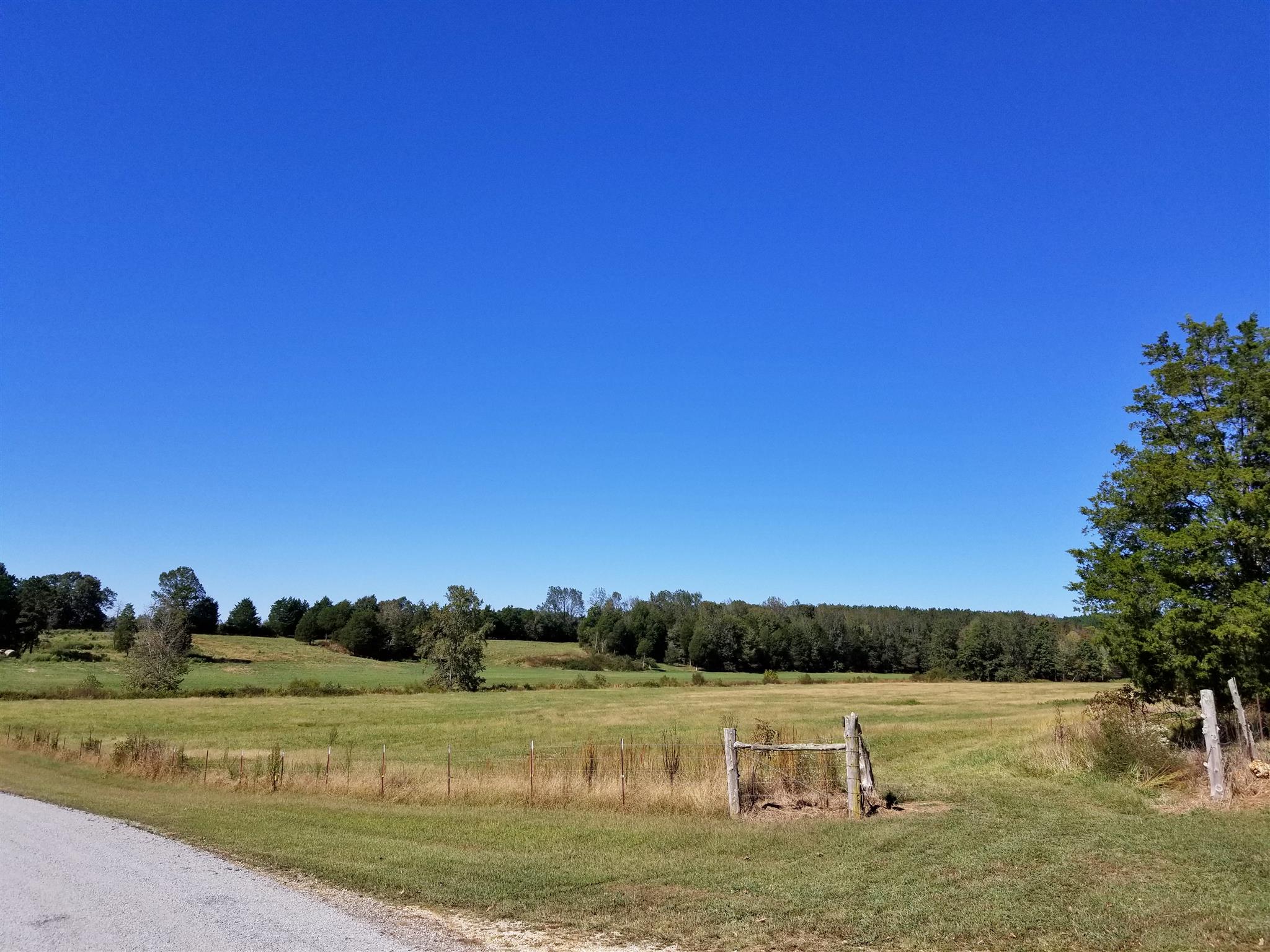 0 Wilson Road Camden, TN 38320 - Photo 12 of 28