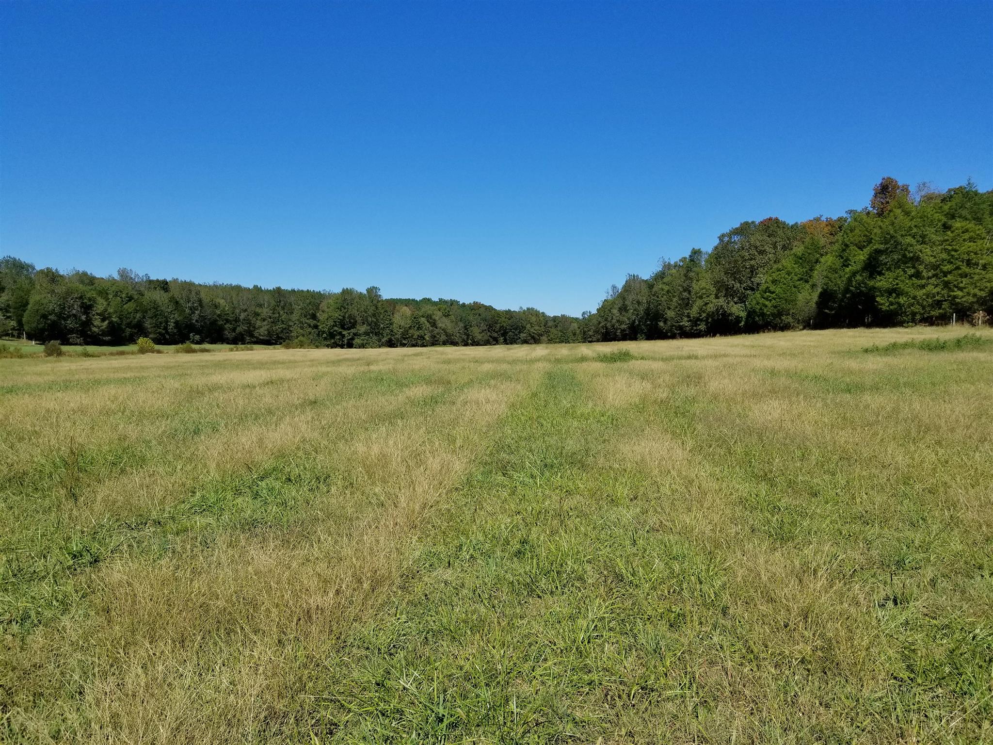 0 Wilson Road Camden, TN 38320 - Photo 13 of 28