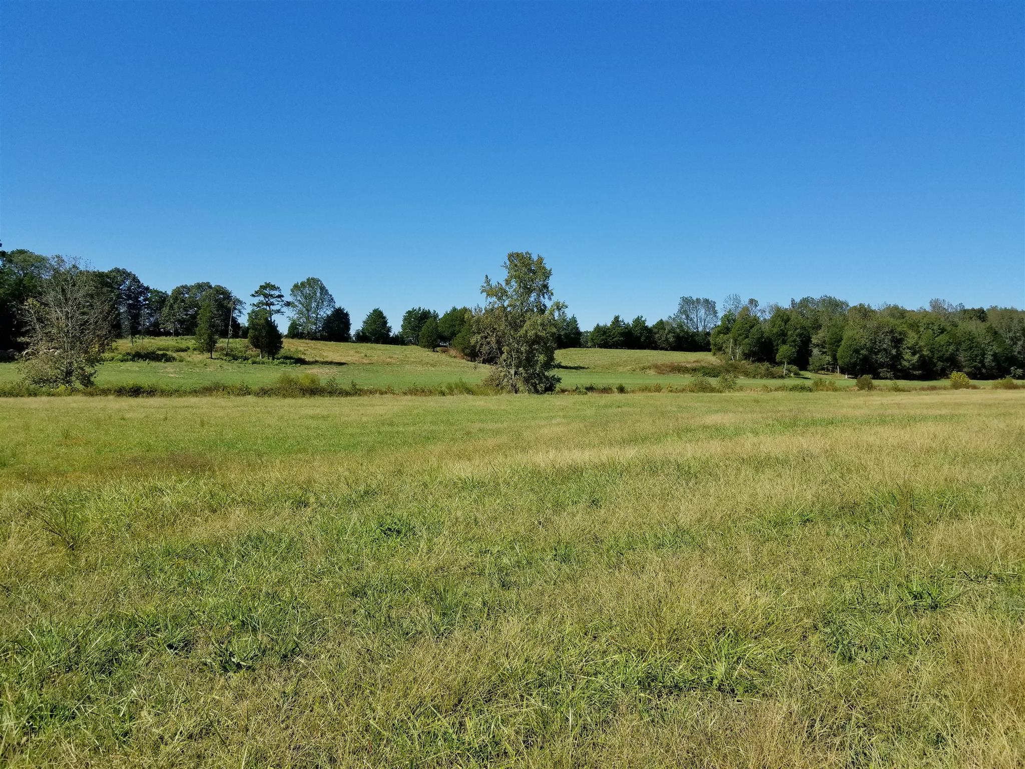 0 Wilson Road Camden, TN 38320 - Photo 15 of 28