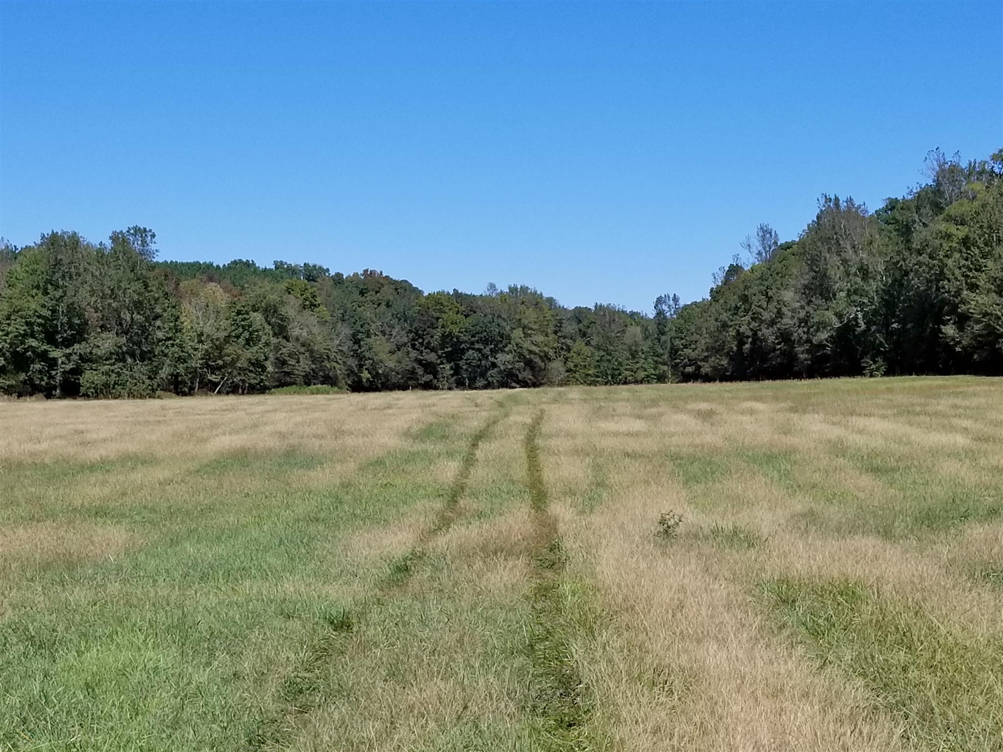 0 Wilson Road Camden, TN 38320 - Photo 16 of 28