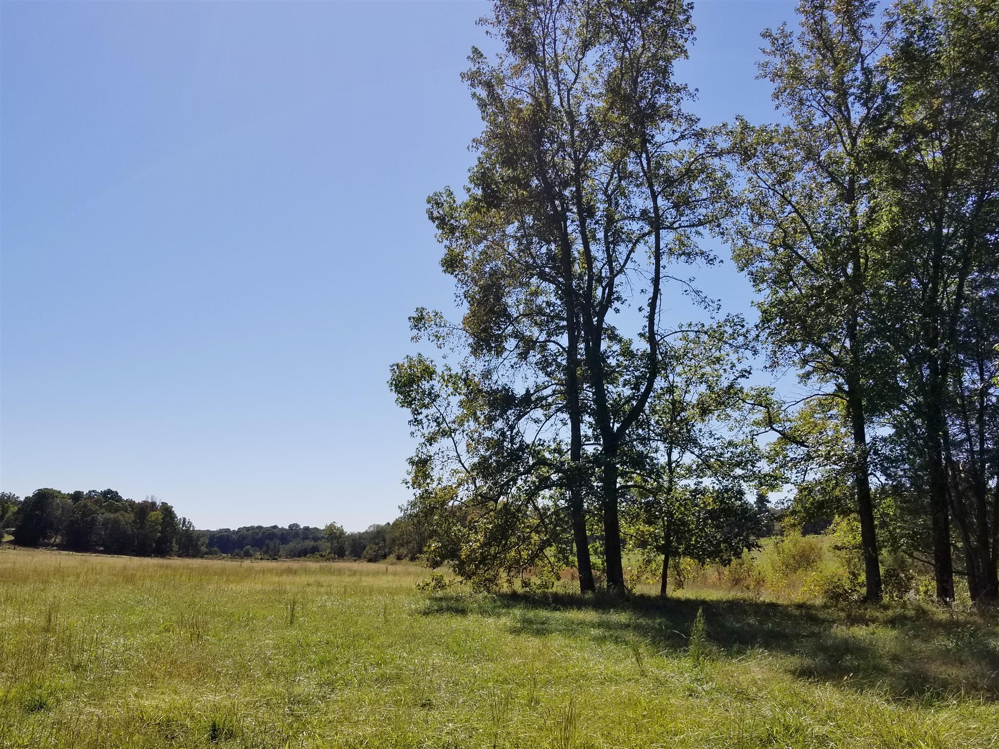 0 Wilson Road Camden, TN 38320 - Photo 17 of 28
