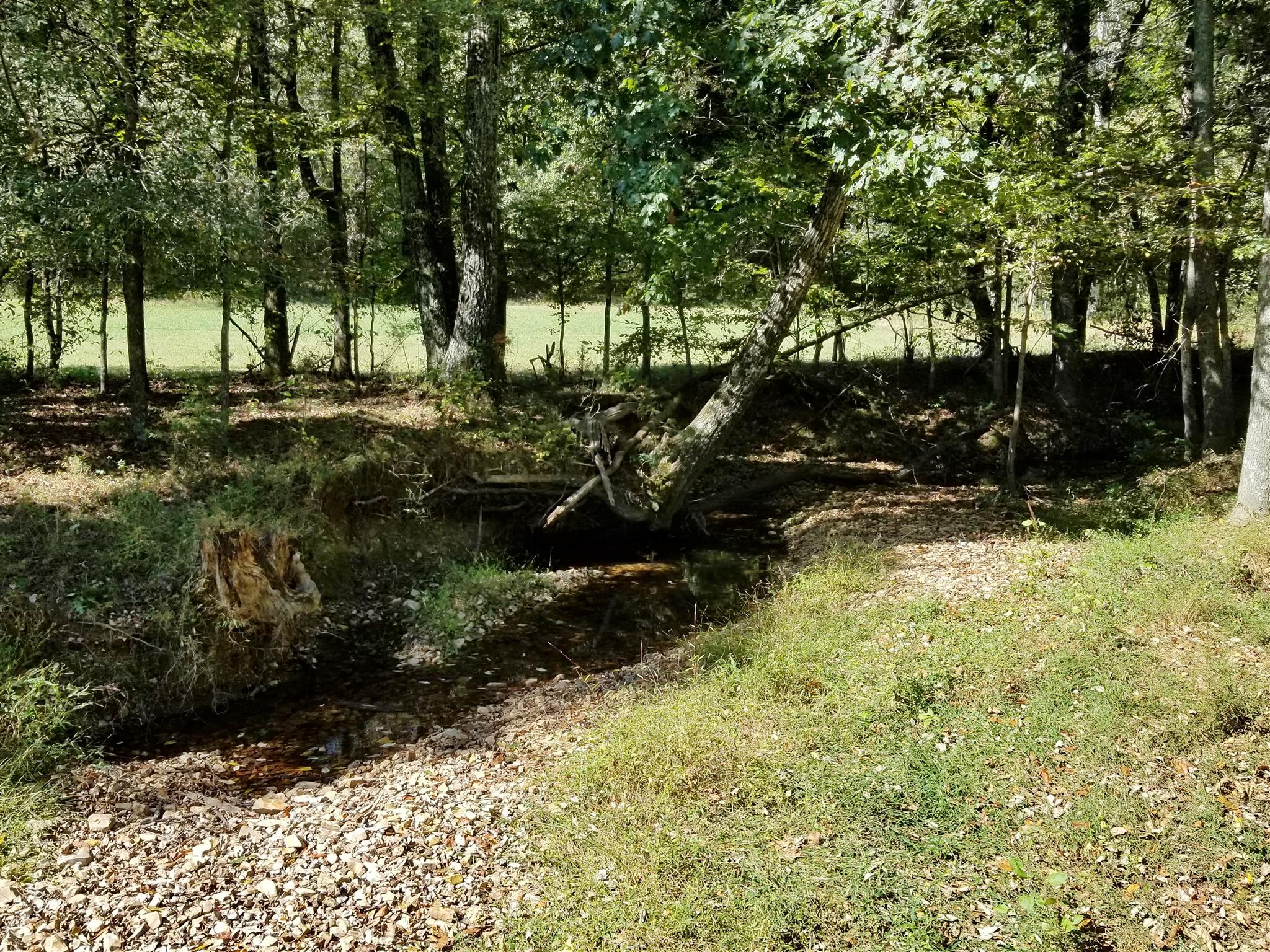 0 Wilson Road Camden, TN 38320 - Photo 19 of 28