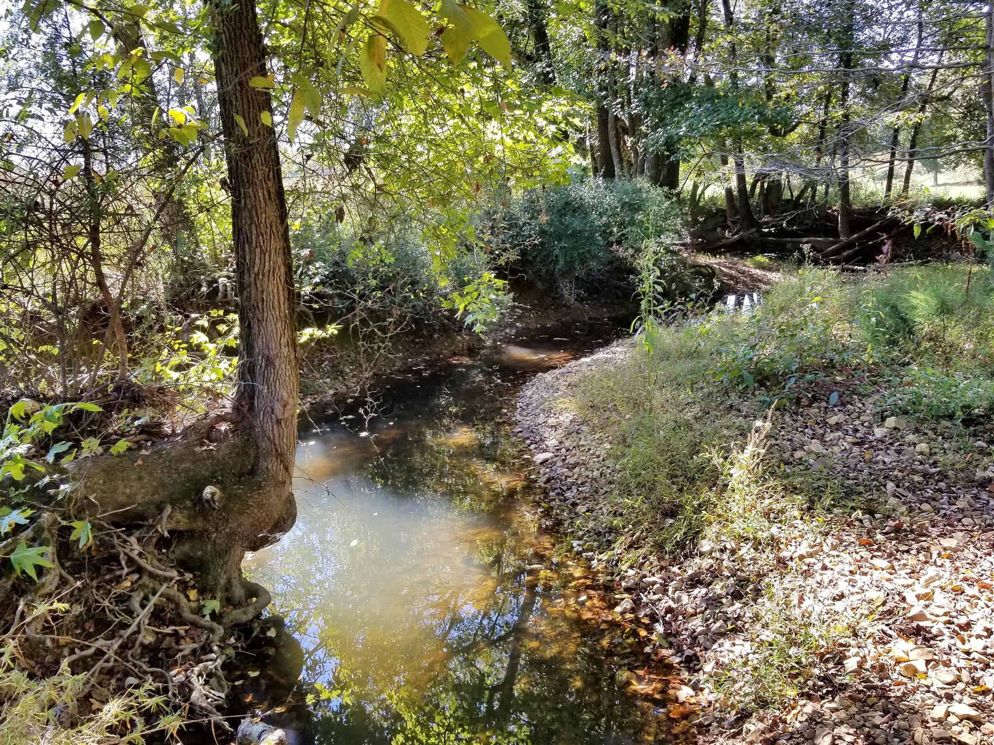 0 Wilson Road Camden, TN 38320 - Photo 20 of 28