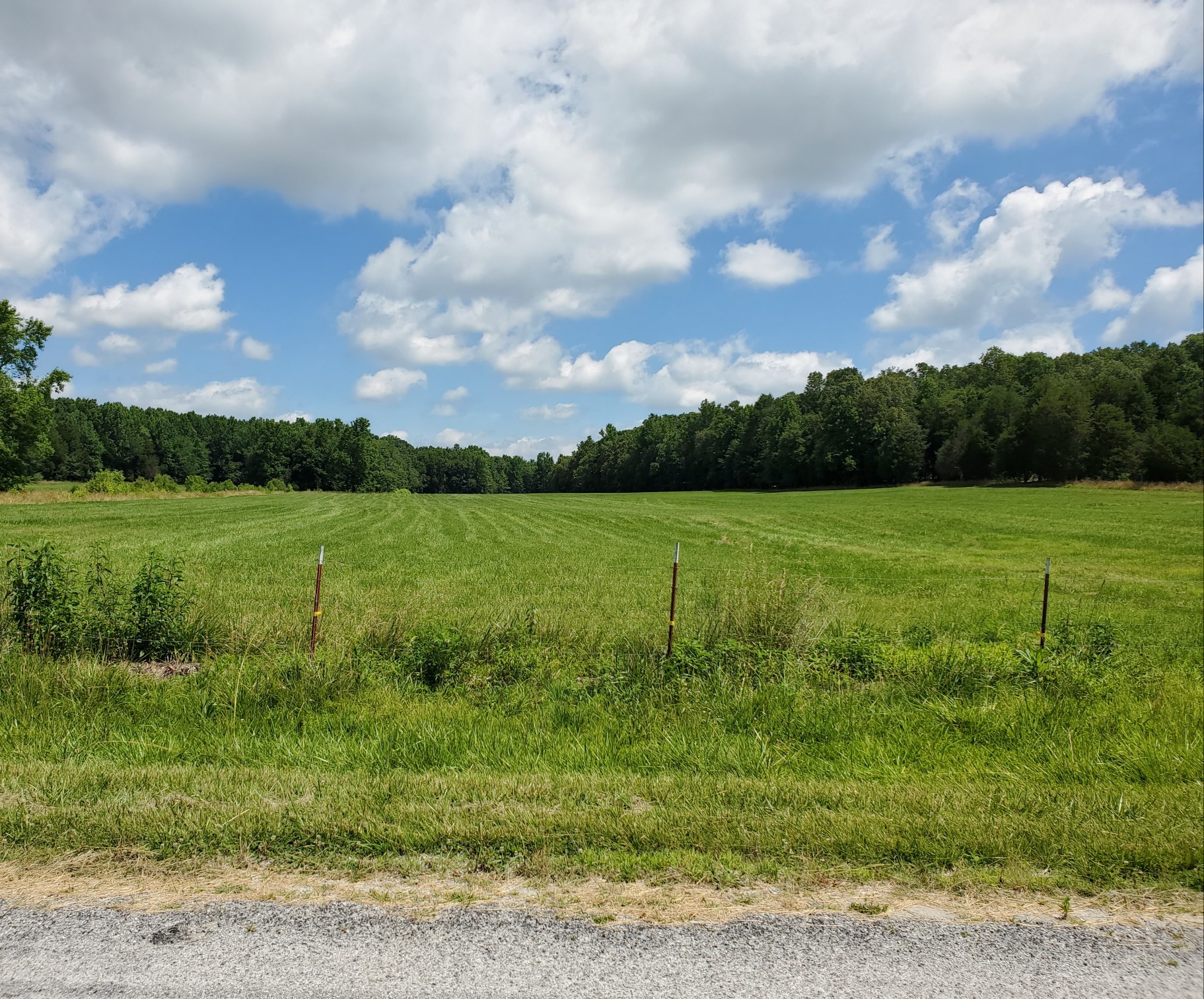 0 Wilson Road Camden, TN 38320 - Photo 2 of 28