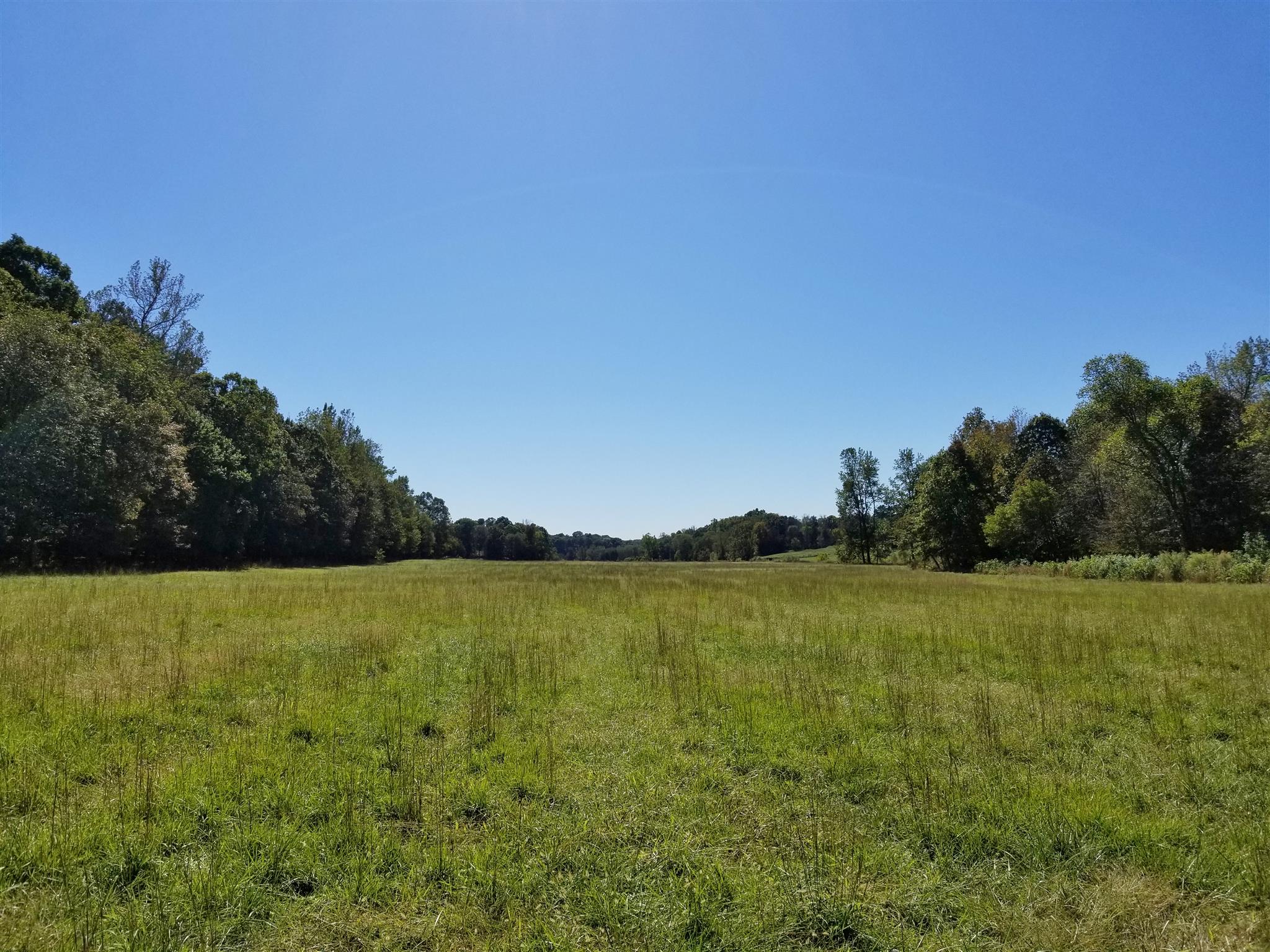 0 Wilson Road Camden, TN 38320 - Photo 21 of 28