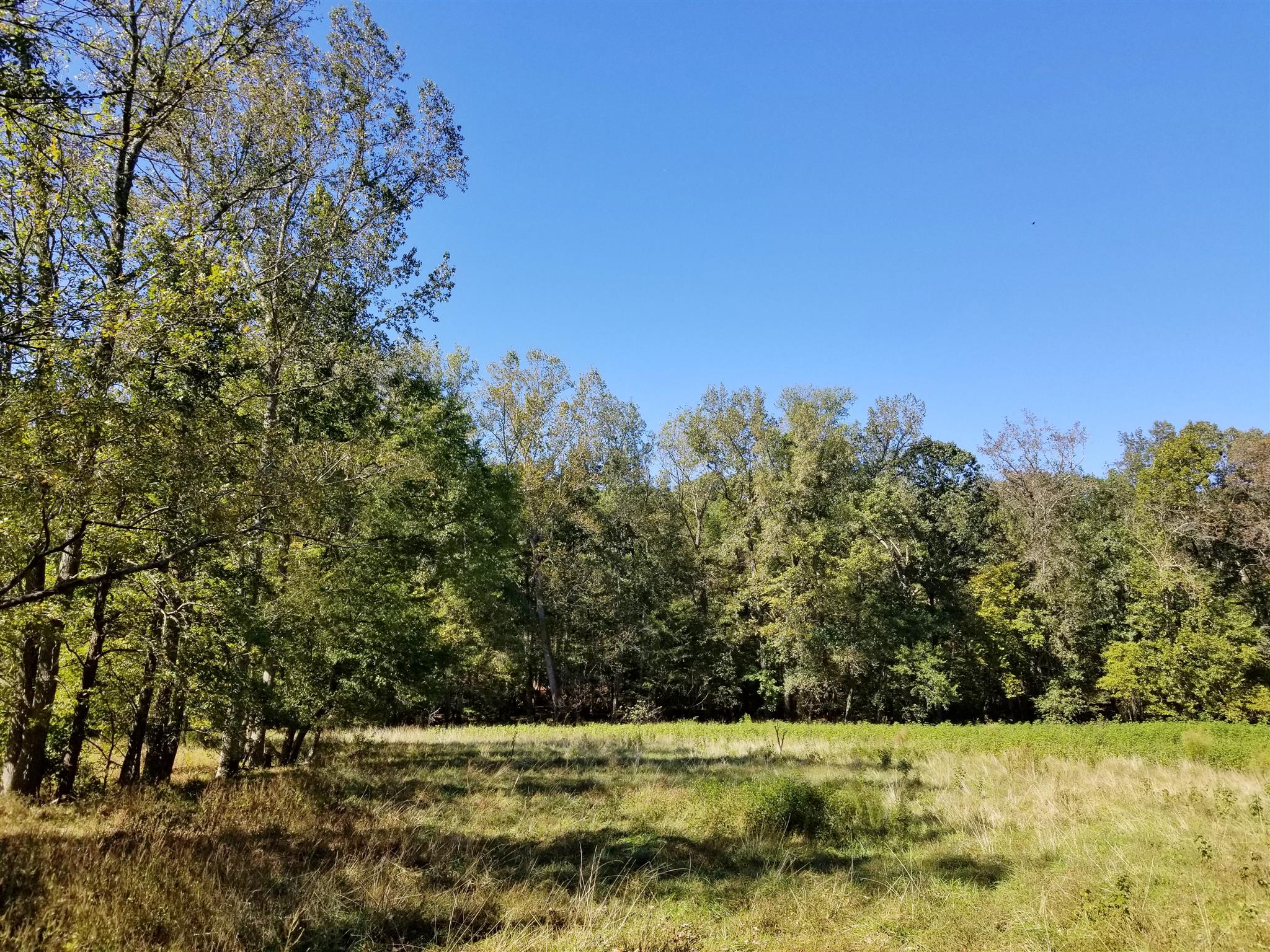 0 Wilson Road Camden, TN 38320 - Photo 25 of 28