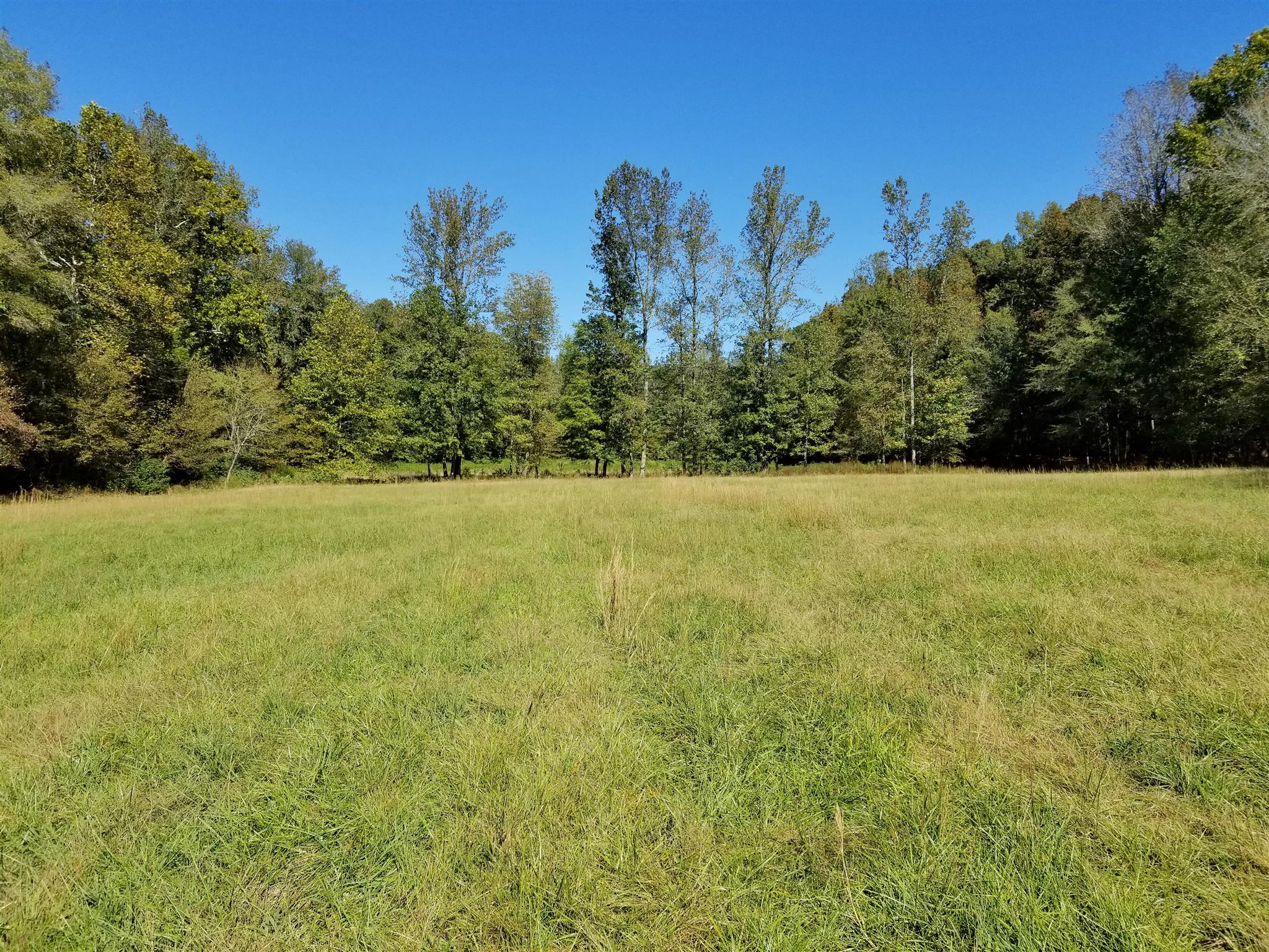 0 Wilson Road Camden, TN 38320 - Photo 26 of 28