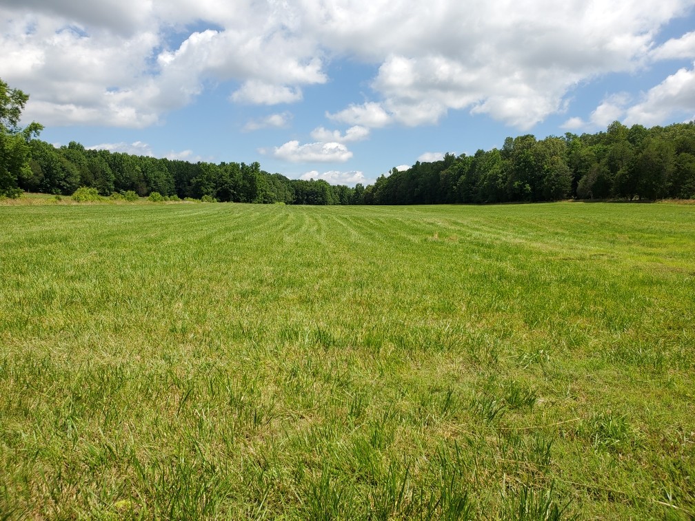 0 Wilson Road Camden, TN 38320 - Photo 3 of 28