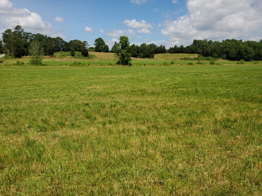 0 Wilson Road Camden, TN 38320 - Photo 4 of 28