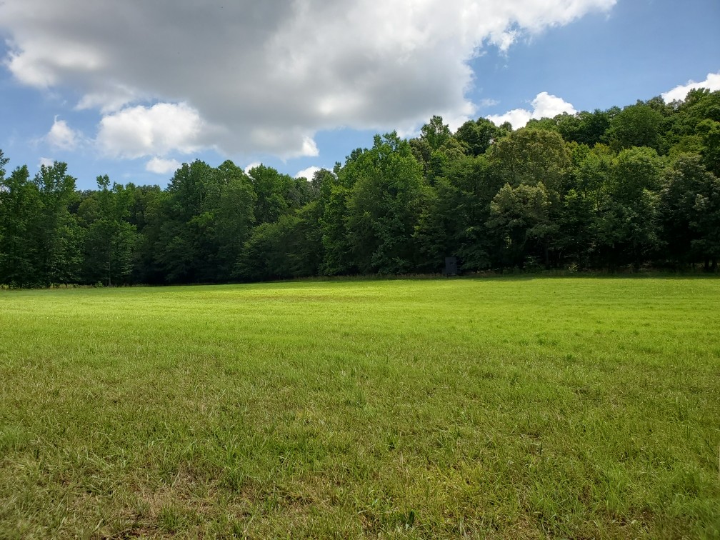 0 Wilson Road Camden, TN 38320 - Photo 5 of 28