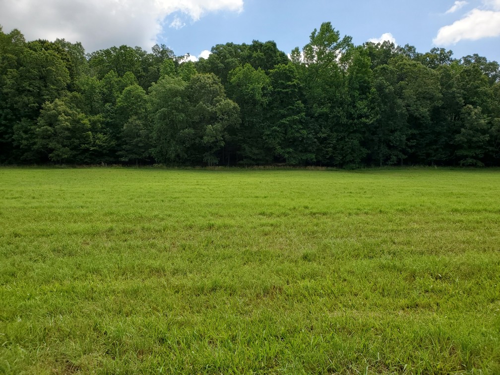 0 Wilson Road Camden, TN 38320 - Photo 6 of 28