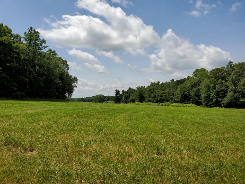0 Wilson Road Camden, TN 38320 - Photo 7 of 28