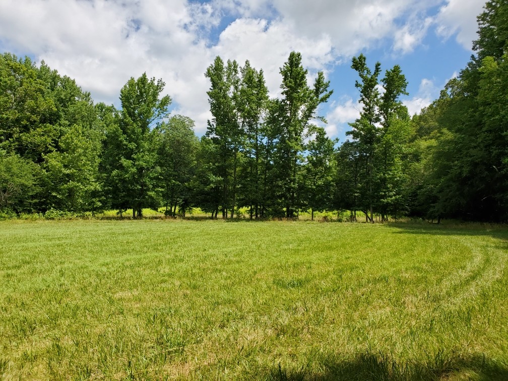 0 Wilson Road Camden, TN 38320 - Photo 8 of 28