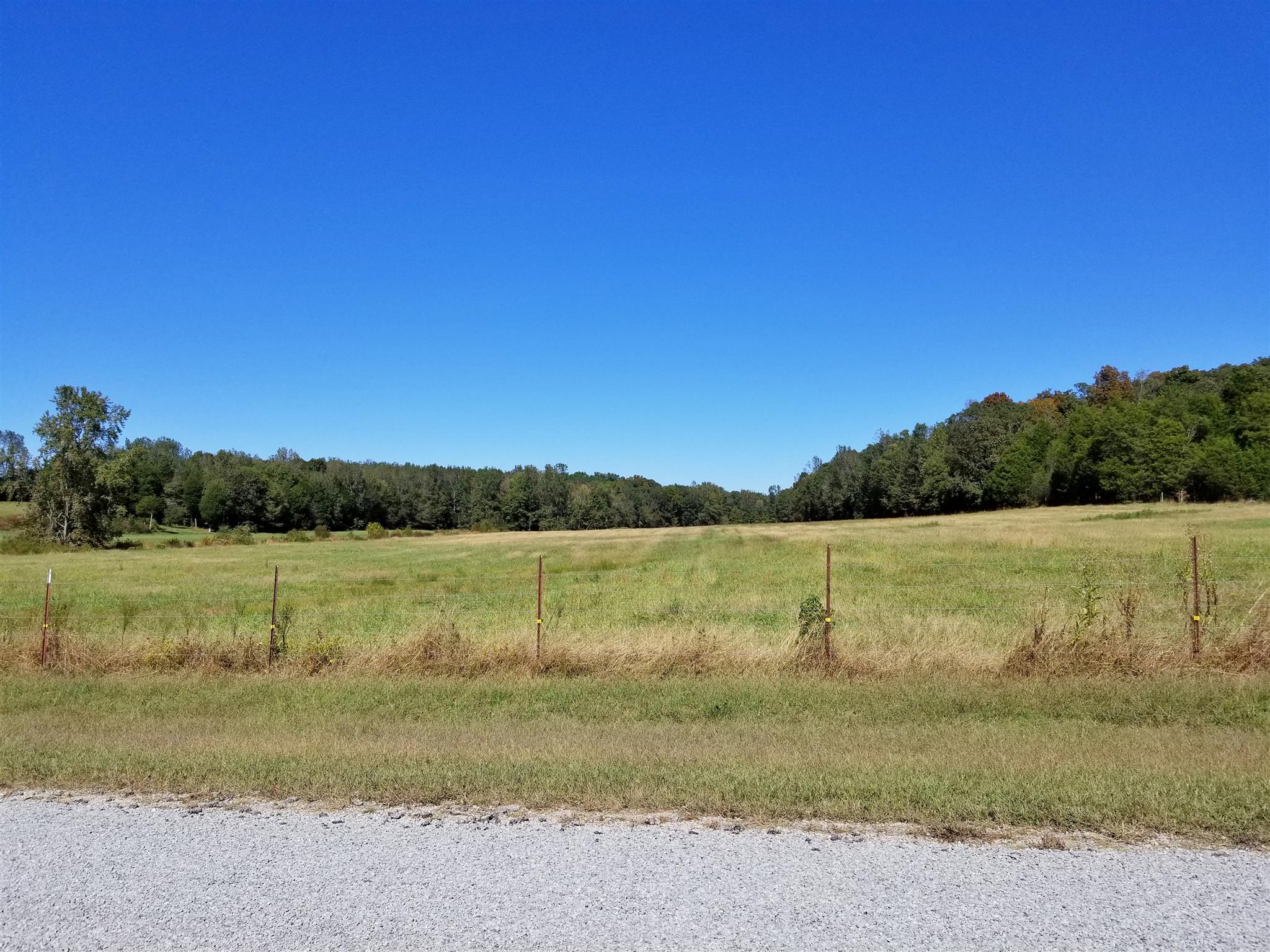 0 Wilson Road Camden, TN 38320 - Photo 10 of 28