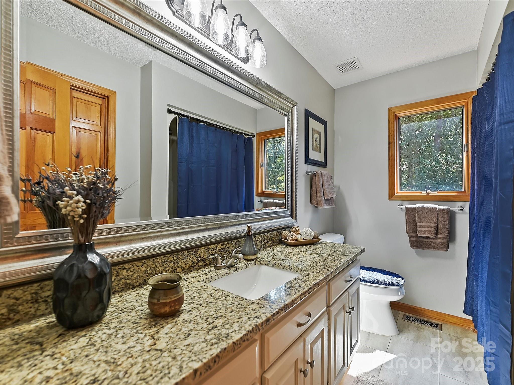 7146 Sifford Road Stanley, NC 28164 - Photo 21 of 42 a bathroom with a granite countertop sink and a mirror