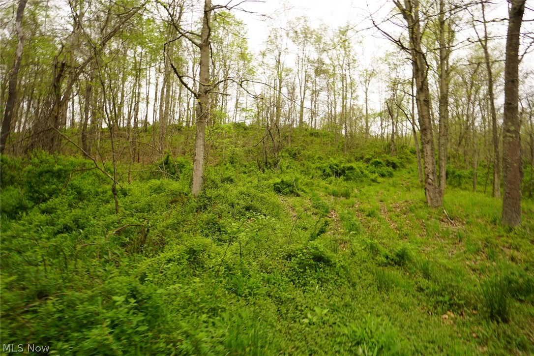 Dutch Creek Road Athens, OH 45701 - Photo 27 of 28