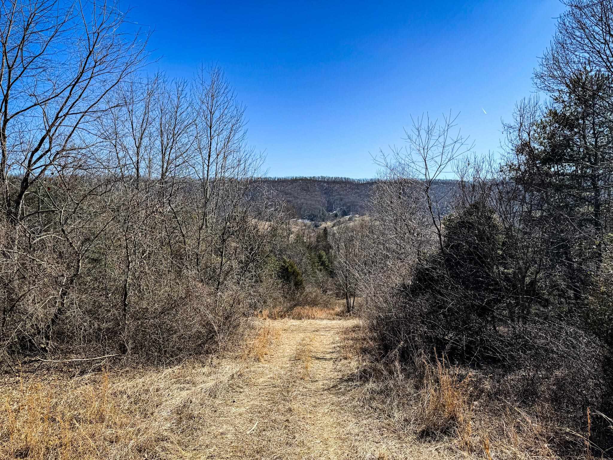 Tbd Mountain Field Road Pearisburg, VA 24134 - Photo 10 of 17 Gallery Image 10