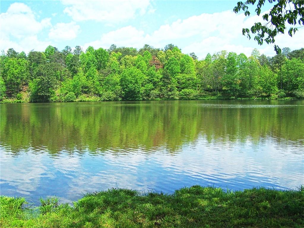 83 Pioneer Farms Road Fairmount, GA 30139 - Photo 1 of 1
