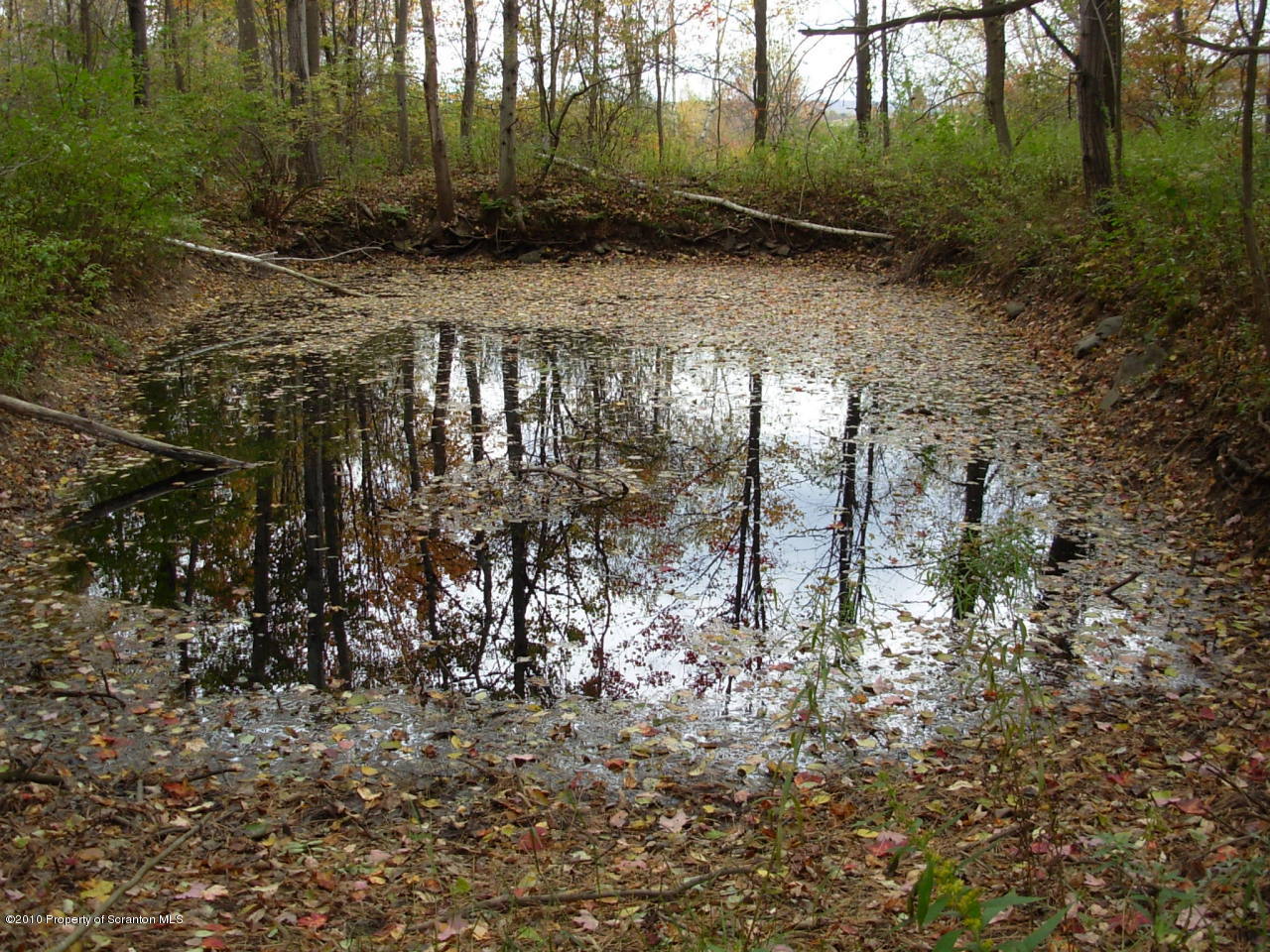 302 J & J Road Moscow, PA 18444 - Photo 5 of 18 Wildlife Pond