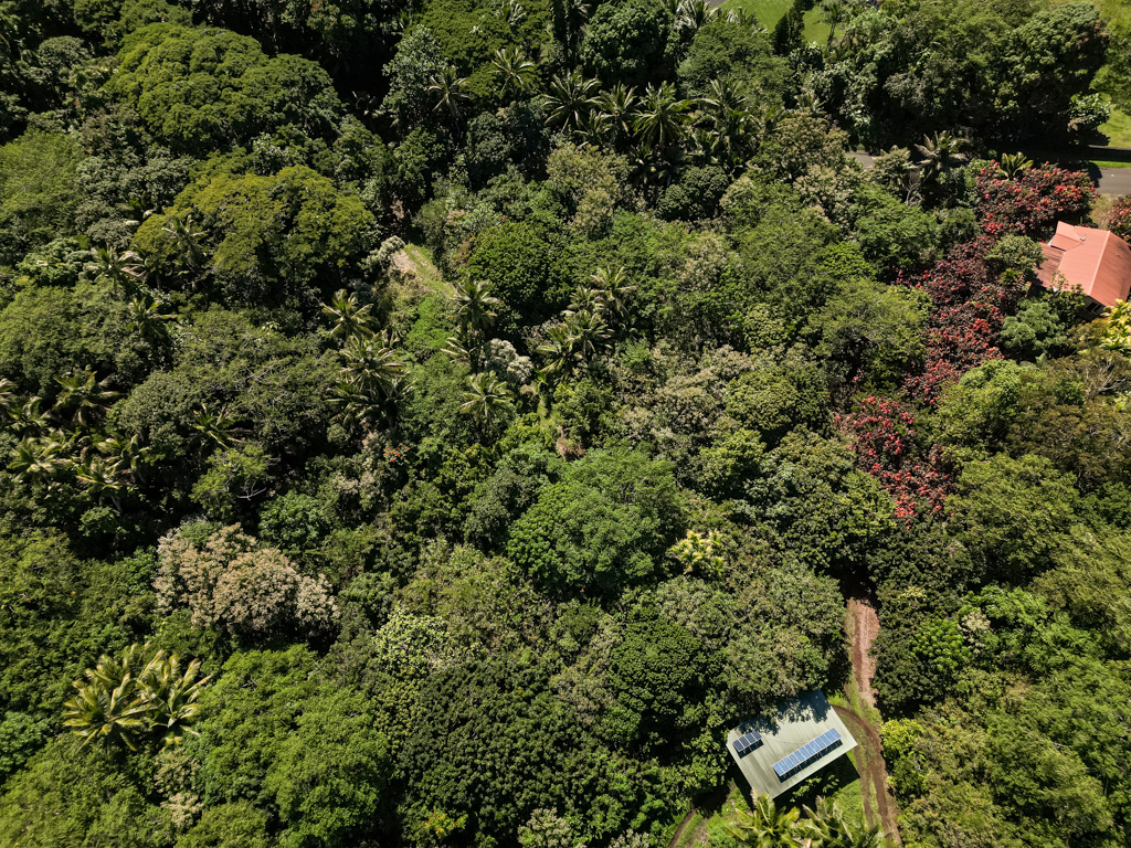 Opihikau Road Pahoa, HI 96778 - Photo 9 of 12 Gallery Image 9