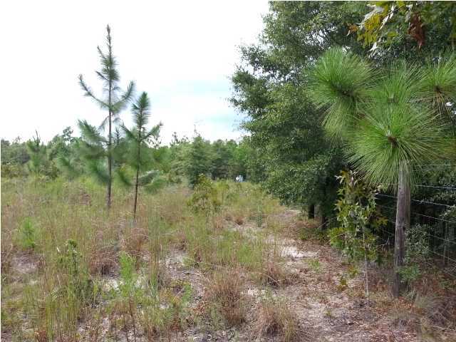 0 Hawthorn Road DeFuniak Springs, FL 32435 - Photo 3 of 5 Additional Photo