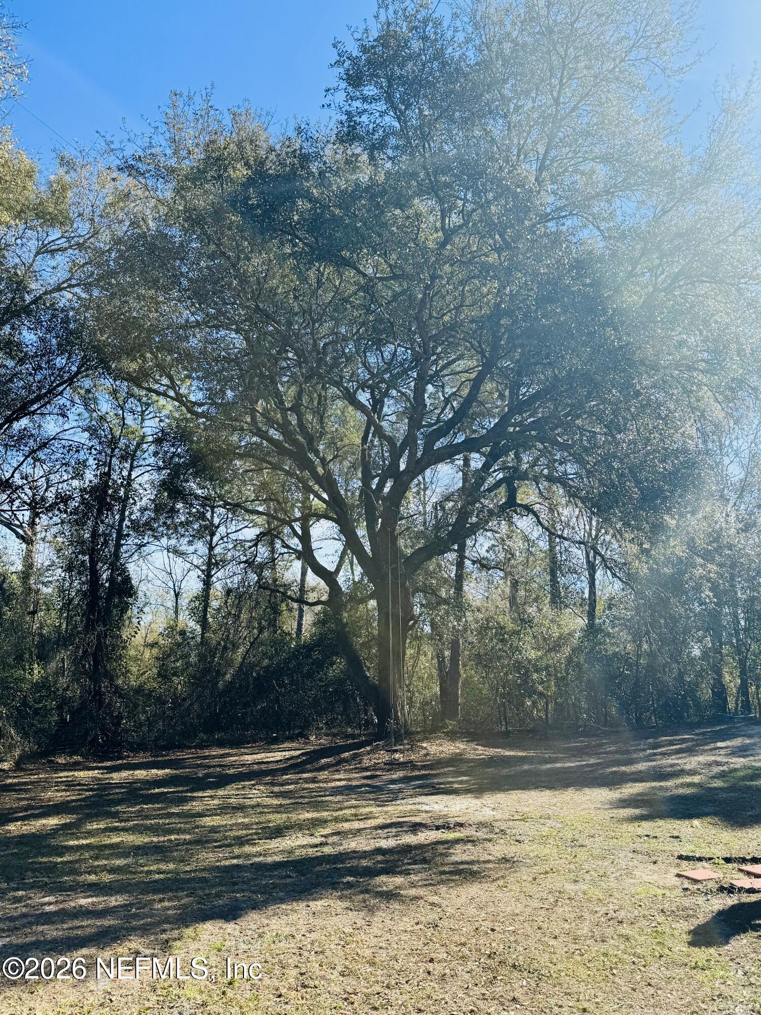 4700 Berry Court Keystone Heights, FL 32656 - Photo 58 of 65 a view of a yard with large trees
