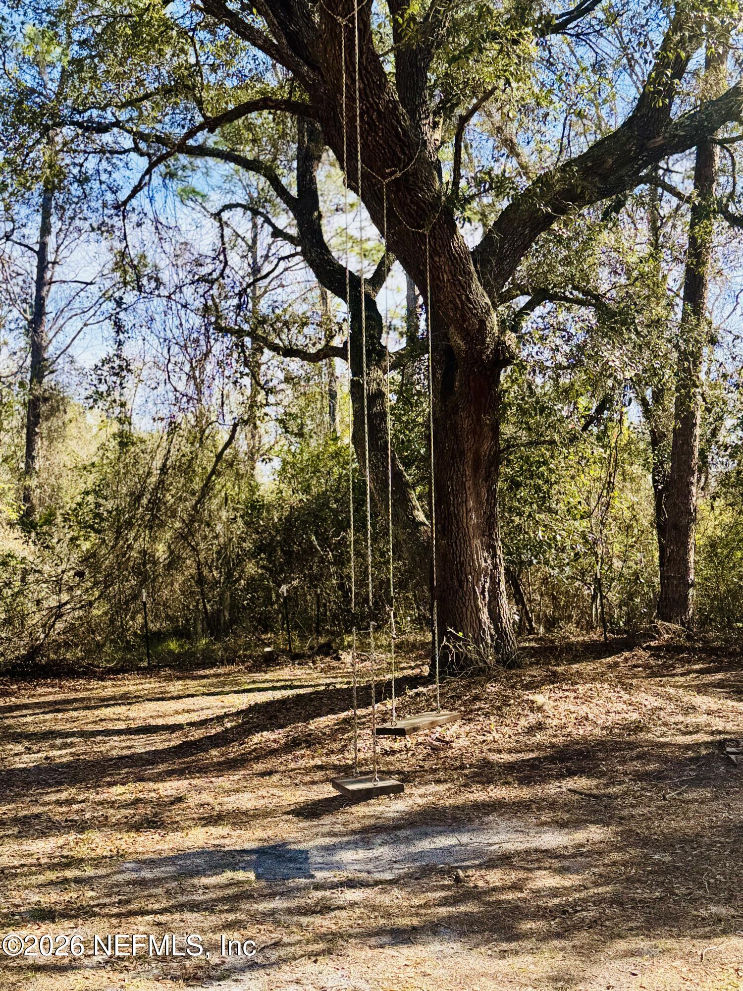 4700 Berry Court Keystone Heights, FL 32656 - Photo 59 of 66 Tree Swings!