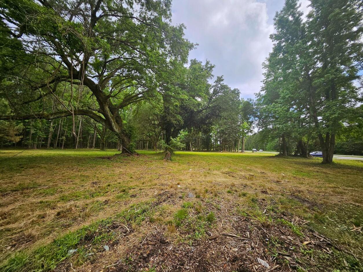 6539 North Highway 17 Awendaw, SC 29429 - Photo 6 of 16 Mostly cleared