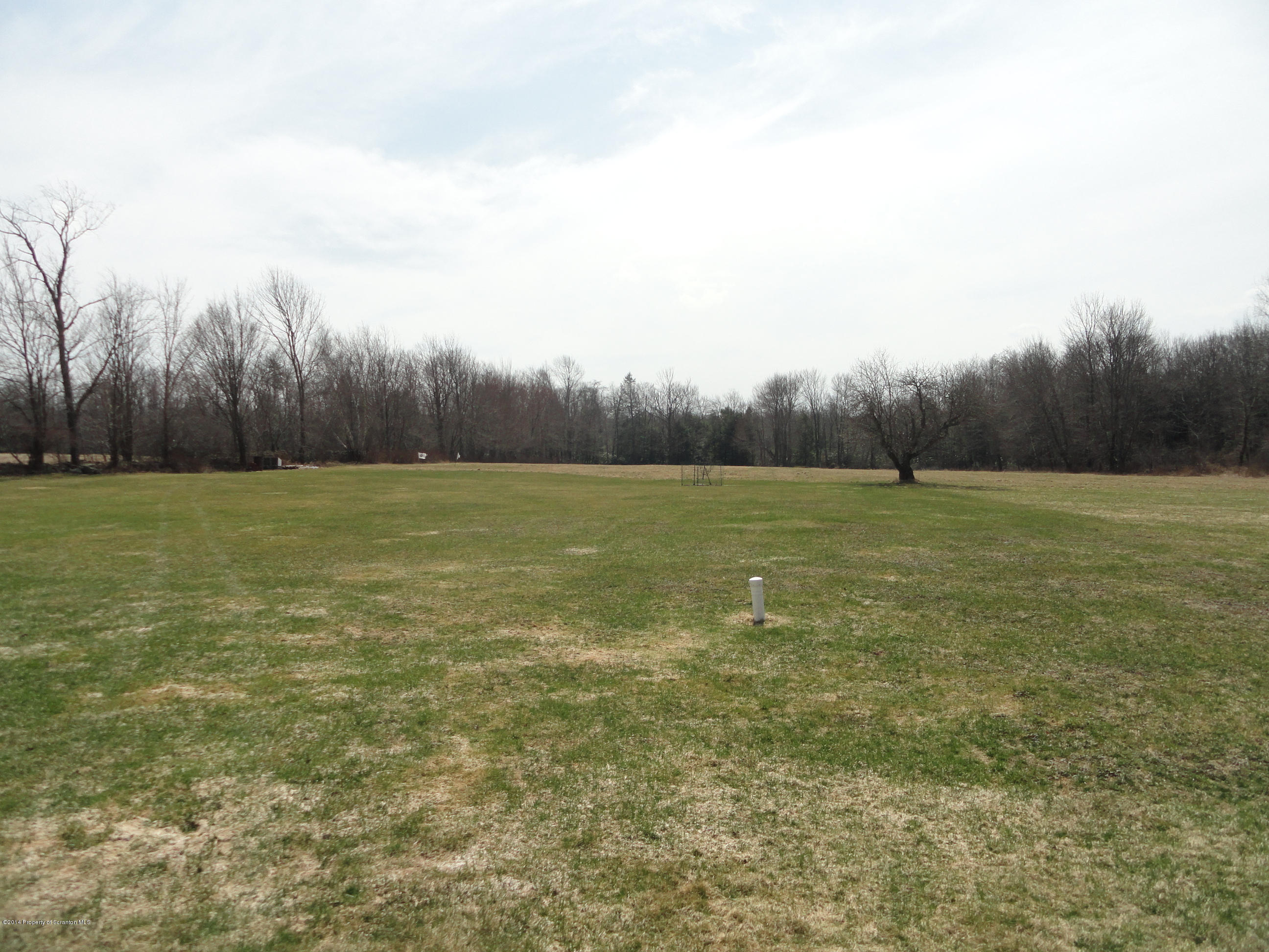 2310 Quicktown Road Moscow, PA 18444 - Photo 38 of 52 a view of outdoor space with a field and trees in the background