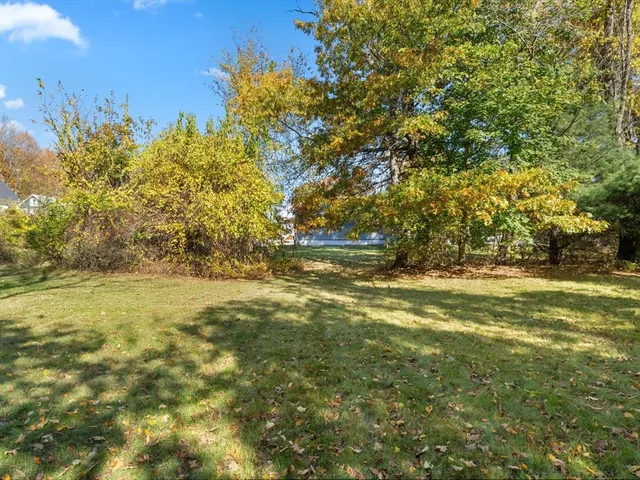 a view of yard with trees